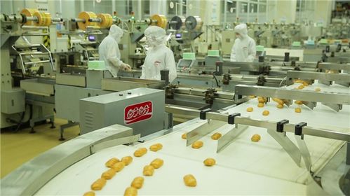 盼盼食品携盼盼x梅尼耶大师款卷心系列新品 亮相巴黎奥运会中国之家